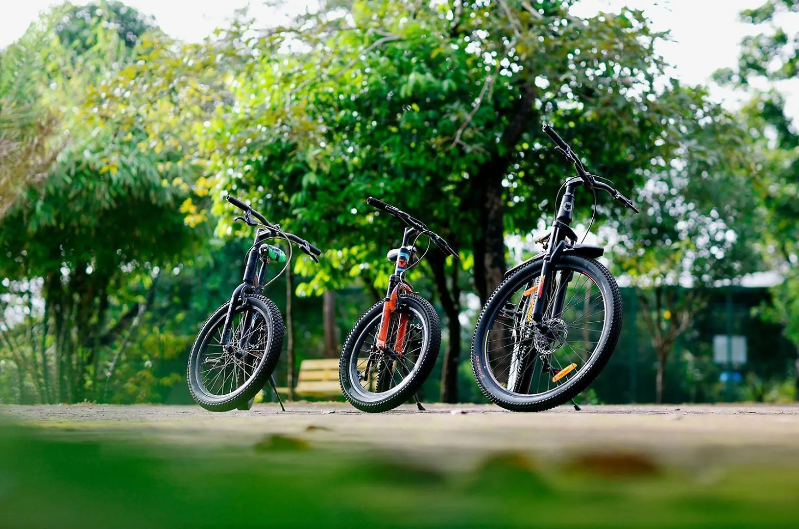 Sandalmist Resort And Spa Kasaragod