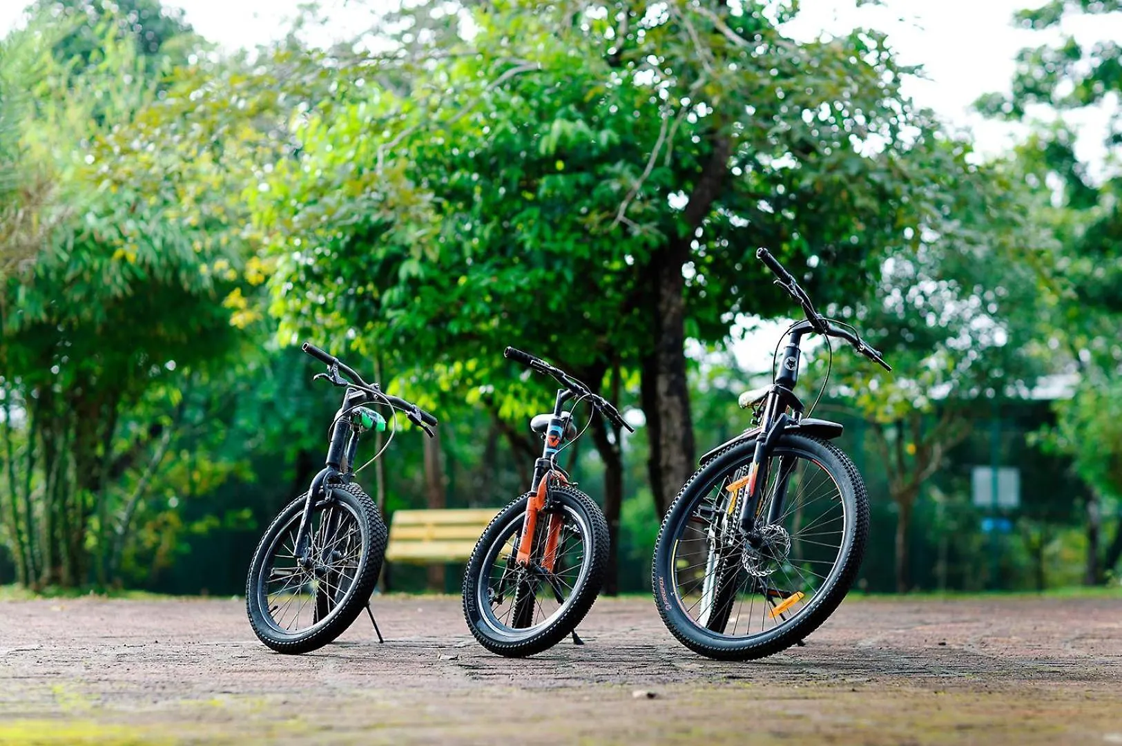 Sandalmist Resort And Spa Kasaragod
